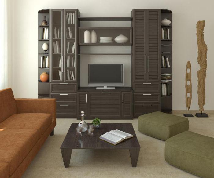 Mūsdienu stila dzīvojamās istabas sienas: izvēles iespējas