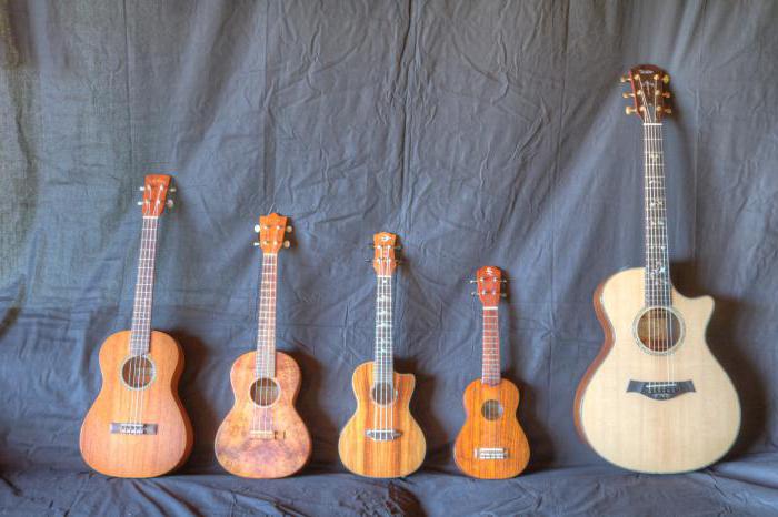 Kas jums jāzina, lai pielāgotu ukulele