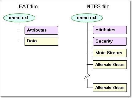 Failu sistēma - kas tas ir? Failu sistēma NTFS, FAT, RAW, UDF