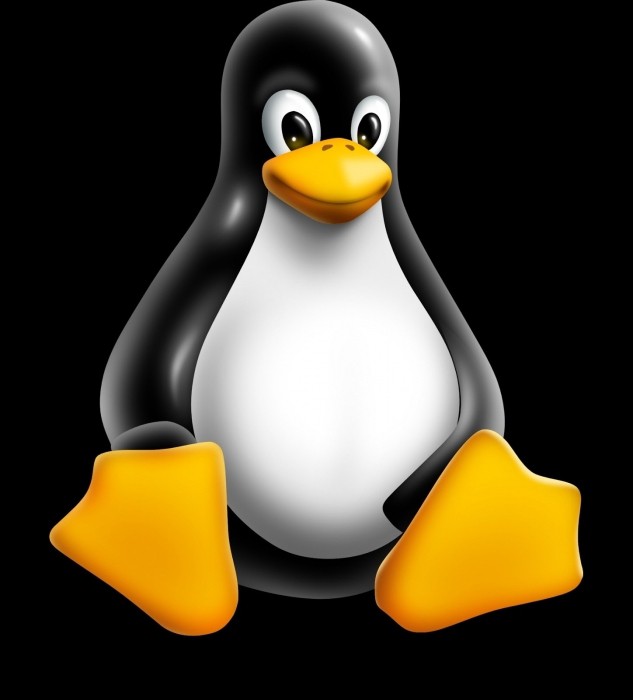 Kā uzzināt Linux versiju, pamata komandas