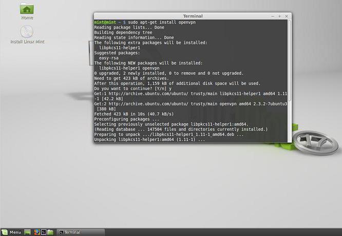 Kā instalēt Wine Linux Mint?