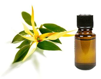 eļļa ilang-ylang matu lietošanai 