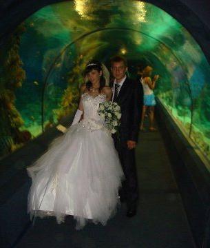 Oceanarium in Sochi: foto, atsauksmes, adrese