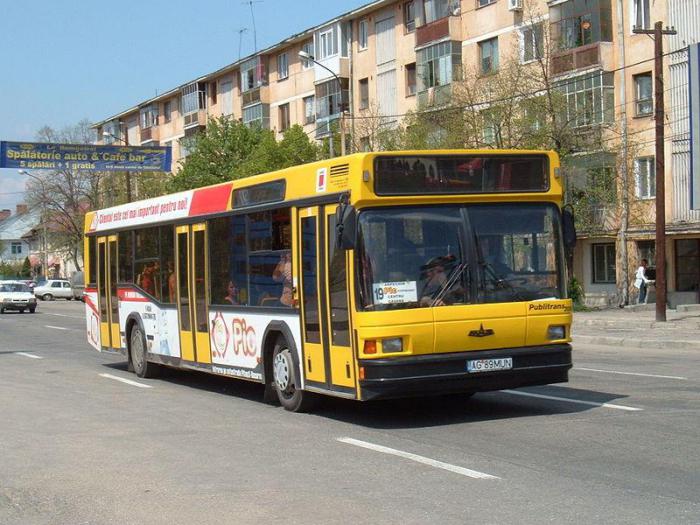 Orsha Vitebsk autobuss 