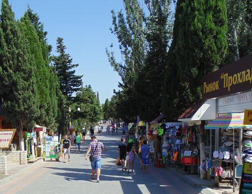 cypresses avenue