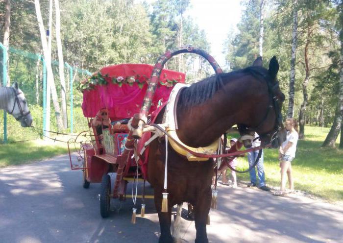 Zooloģiskais dārzs (Belgorods): kad tika nodibināts, stāsts, zooloģiskā dārza iedzīvotāji un cik daudz ir biļete