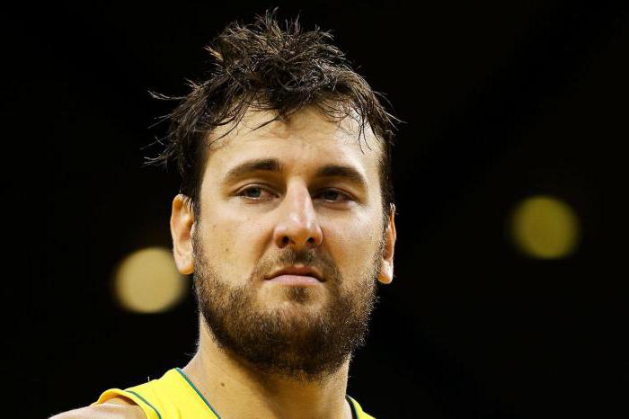 Andrew Bogut: biogrāfija, karjera, statistika