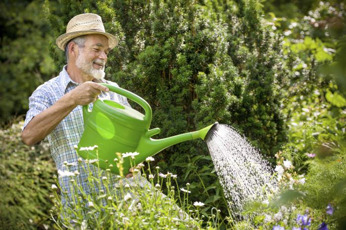 Nekaitīgie biofungicīdi: pielietojums 