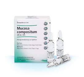 Zāļu "Mukoza compositum" ir lielisks līdzeklis pret iekaisumu un infekcijām