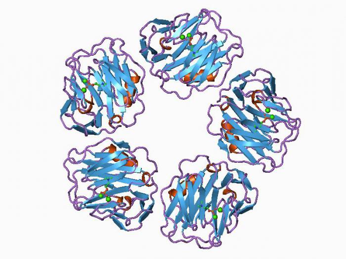 CRP norma bioķīmiskajā asins analīzē